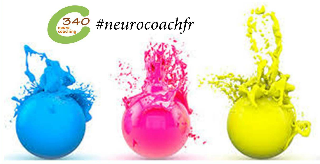 Francisco Ramos Neurocoach